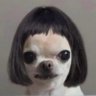 nesssquickkk7's profile picture. 🌪️