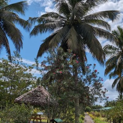 CleryRichard's profile picture. 