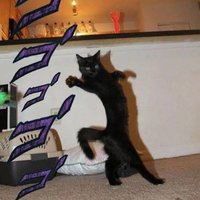 Thelittleblackcatalt (@the_little_bc2) 's Twitter Profile
