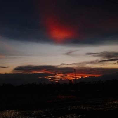 jaleasta's profile picture. 