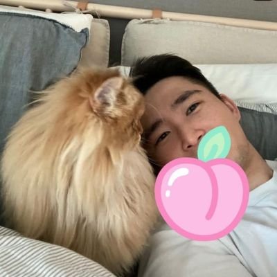 No porn🚫, Korean,l loveCats, Hardworking and Dedication ❤️