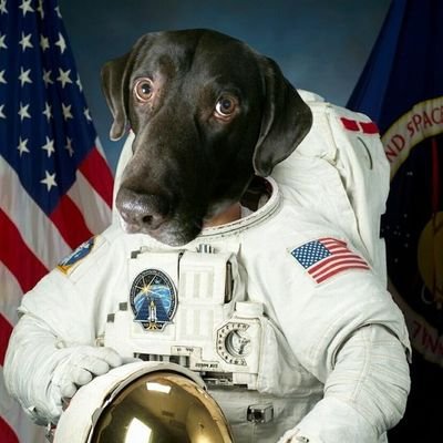 NoReturnOrbit's profile picture. 