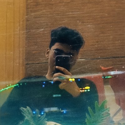 prxnavdev's profile picture. 21 • undergrad • full stack developer