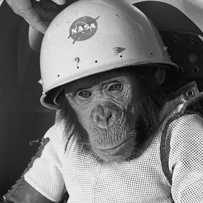 I like to Observe, I'm a Biohacker, and I focus on Cybersecurity. Otherwise, I prefer to stay out of the spotlight.