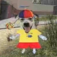 joelho de vidro (@kelvitokel) 's Twitter Profile