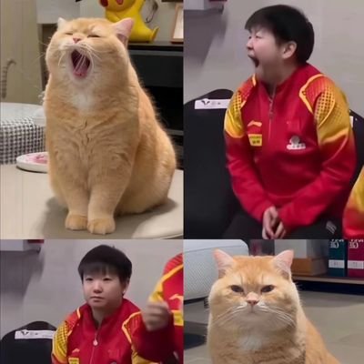 BimQuiero's profile picture. 