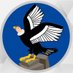 Operaciones Br4 (@br4operaciones) Twitter profile photo Operaciones Br4 (@br4operaciones) Twitter profile photo