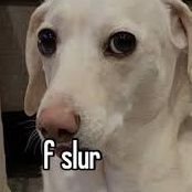 Who69420's profile picture. Who? Cares.
Well I do.
I care about you. Keep being incredible.

Free Palestine.