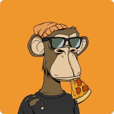 tamerkaro's profile picture. Protocol tinkerer & digital nomad 🌍⛓ | Building on-chain adventures | #Blockchain #Web3 #Crypto