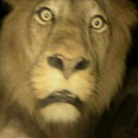 NTM667 (@nbtm667) 's Twitter Profile Photo