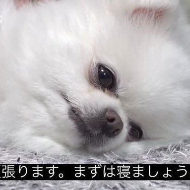 20↑ BOYNEXTDOOR、NCT、カトパコ