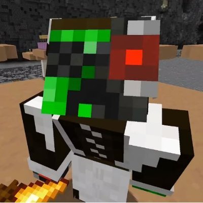 dsxavi_'s profile picture. 15 || he/she/xe || life series + hermitcraft!!!