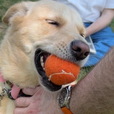 Erick001216's profile picture. 