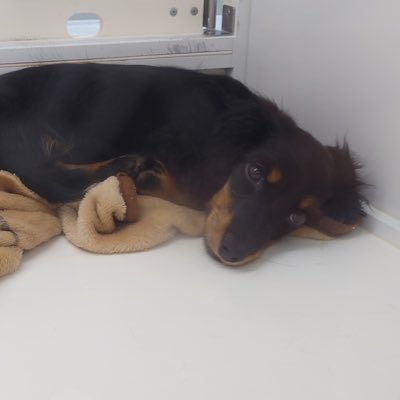 YukiYukimdr's profile picture. 30代後半！歳下旦那さん☺☺🎉 妊活前検査 2023/6開始 右卵管狭窄、左卵巣嚢腫2cm、子宮筋腫2個 ﾀｲﾐﾝｸﾞ法①②🙅‍♀2023/7 AIH①で🧚→8w稽留流産(手術)②③④⑤🙅‍♀採卵2個凍結→移植①②🙅‍♀️ﾀｲﾐﾝｸﾞ法③④🙅‍♀️→妊活終了→妊娠🧚計画無痛→帝王切開