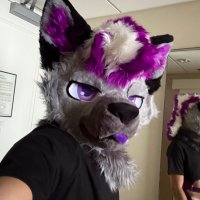Lucas (@lucas_yeen) 's Twitter Profile