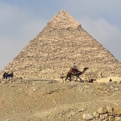 KingAdRob916's profile picture. Father, Brother, Patriot