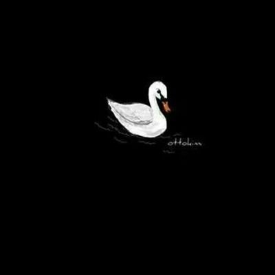 flander2022's profile picture. 