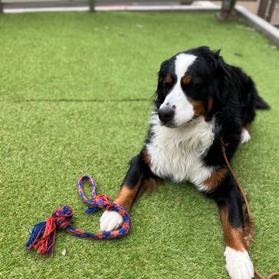 yama147123's profile picture. 