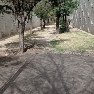 antoni1178283's profile picture. 