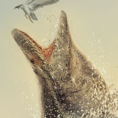 ディスプレイ・モニター本体 Otodus.megalodon Itoy Otodus Megalodon 1/35 Hell's Aquarium Display