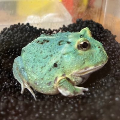 yaAQNaGrVn81150's profile picture. 資源 1年 見る専