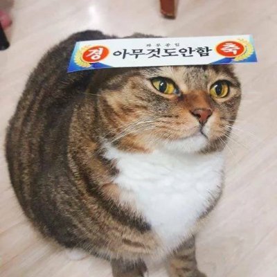 유실물さんのプロフィール画像