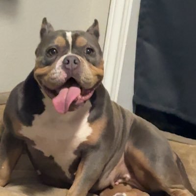 jay5tax's profile picture. Nothing to Something