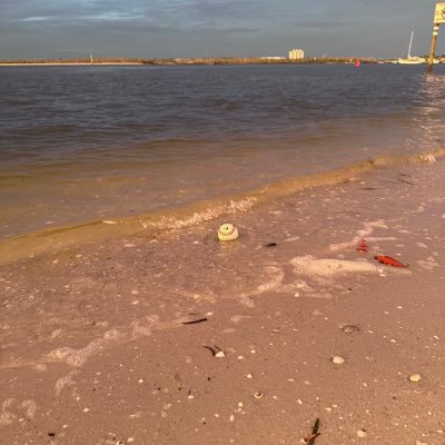 Buddy_Lee05's profile picture. 