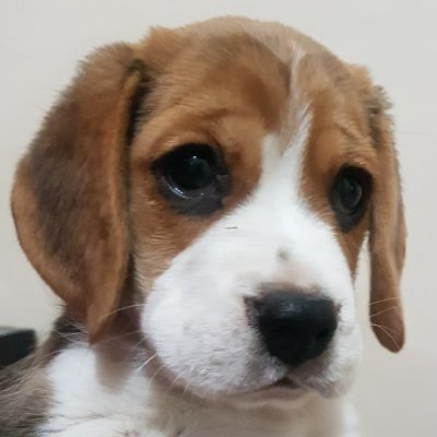 Grok_YourPath's profile picture. 