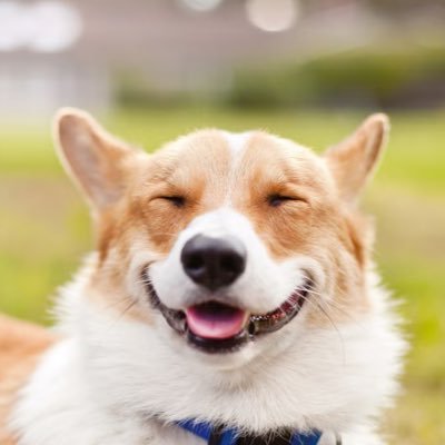Meme_Stream99's profile picture. ✯ Meme Connoisseur ✯ Posting your daily dose of memes and viral content from around the internet ✯
