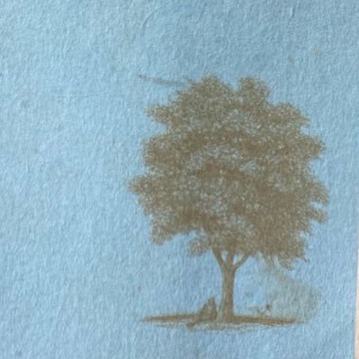 lesfleurzz's profile picture. 