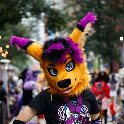 A roo just existing in the city of Toronto.
Furry, PC Gamer, Car Enthusiast, Transit Enthusiast
28/M/DM Friendly
18+ Minors DNI
