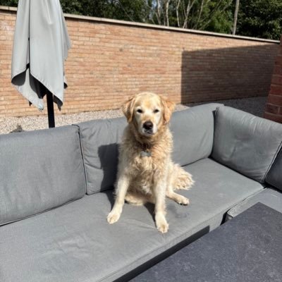 IncaEmpire47's profile picture. Fun loving chap with a knack for  locomotives