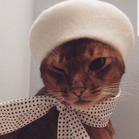 honey (@h3neysckle) 's Twitter Profile