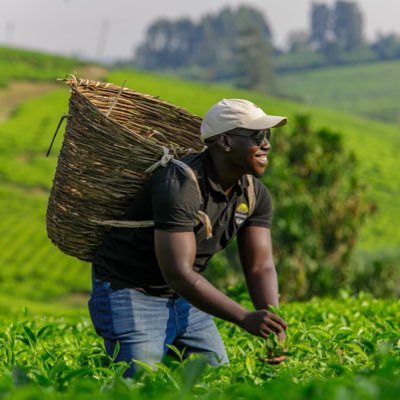 AnzoClasik's profile picture. Makerere University | Commerce | Tours and Travel