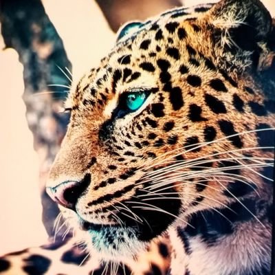 Butterfly_0_00's profile picture. 