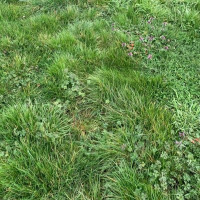 SouthLDN_Kol's profile picture. - KOL.📘📘🚖