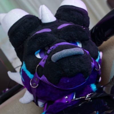 LeantheDragonAD's profile picture. Shiny dragon who’s also a shiny drone. Skintight, baggy or even puffy t2t.
