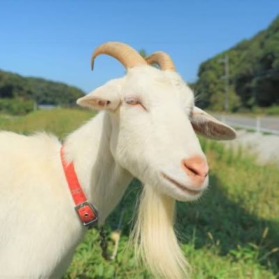 meeeeee_888's profile picture. 生きてる