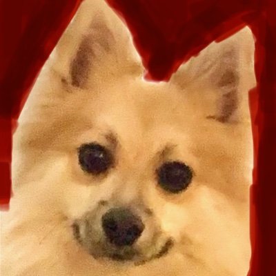 MaureenOgr19257's profile picture. Incredibly blessed✝️♥️ ✝️ 
Profoundly grateful🙏🙏

🎯American Rev/Patriot Heritage🔔🇺🇸
🎯NAVY/USMC family⚓️⚓️
🎯ProLife🌷🌷
🎯Pro1A/2A
💙AmYisraelChai🇮🇱💙