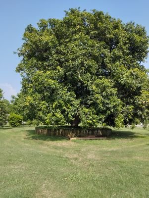 malik_rumi78405's profile picture. 