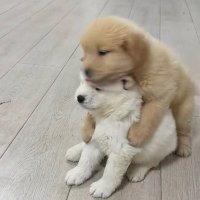 공계개정 (@nr_2k) 's Twitter Profile