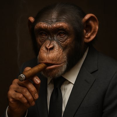 Crypto Pach Profile
