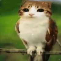 StyroNo1 (@styrono_1) 's Twitter Profile Photo StyroNo1 (@styrono_1) 's Twitter Profile Photo