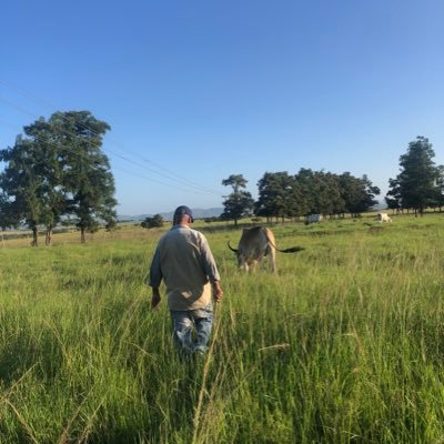 ThePhantomZulu's profile picture. msunu wakho