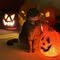 AnaCarl61319914's profile picture. Guiding you through the complexities of AI and digital skills for financial gain.