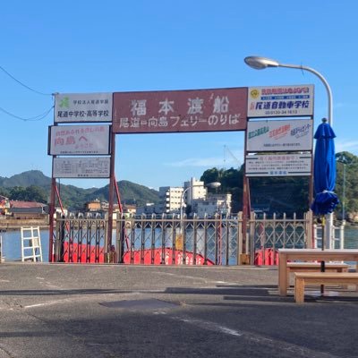 tLS_misosoup's profile picture. 永遠回帰と運命愛