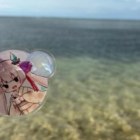 なつは♡ (@to_32mi) 's Twitter Profile