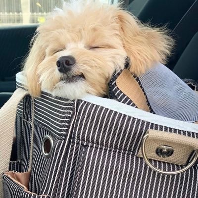 oneheart042's profile picture. 