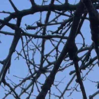 Saaaaintjimmy's profile picture. I was sober, now I'm drunk again
I'm in trouble and in love again
I don't want to be a dead man walking
I don't want to be a dead man walking